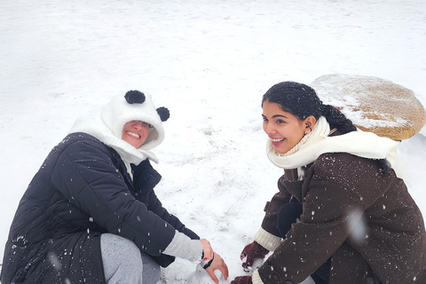 Seoul: Strawberry Picking & Eobi Ice Valley & Nami Island 5. Strawberry Picking & Eobi Ice Valley & Snow Sledding