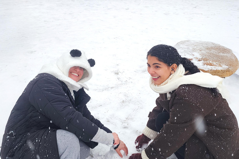 Seoul: Strawberry Picking & Eobi Ice Valley & Nami Island 5. Strawberry Picking & Eobi Ice Valley & Snow Sledding