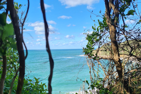 Private Basque Country Tour: Hidden Villages & Local Food 4-Hour Private Basque Country Tour - Short Introduction