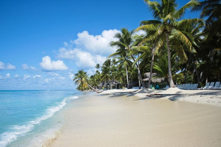 Wyspa Saona przez cały dzień z lunchem i otwartym barem z Punta Cana