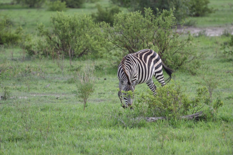 Safari till Amboseli med övernattning i grupp från Nairobi