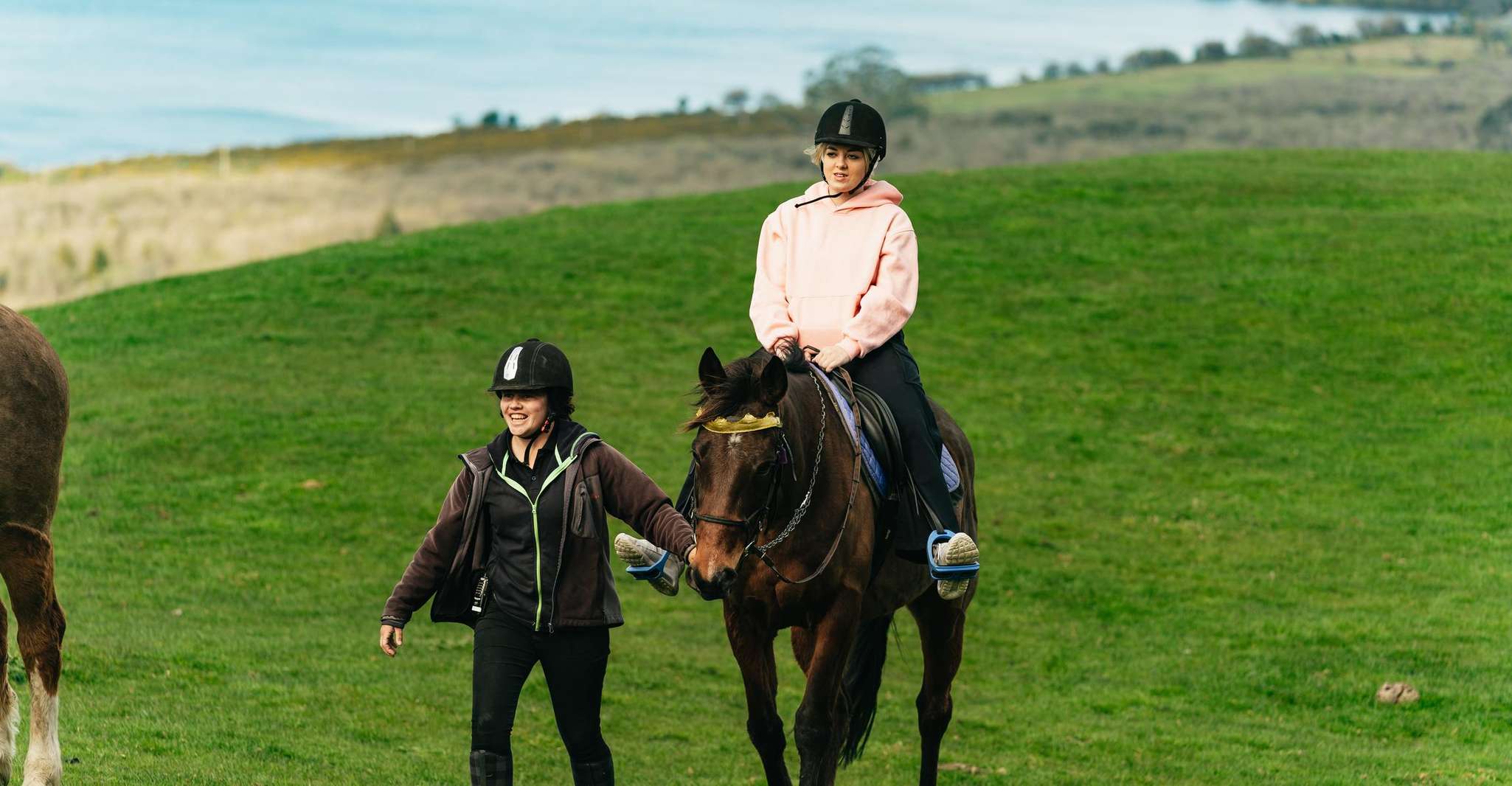 ロトルア、ンゴトハ山でのガイド付き乗馬日旅行 - Housity