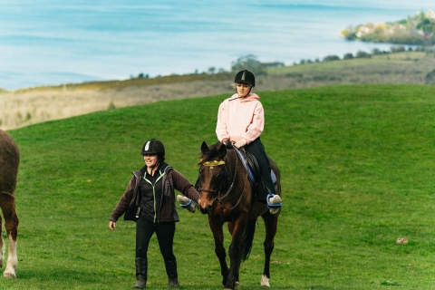 Rotorua: begeleide paardrijervaring