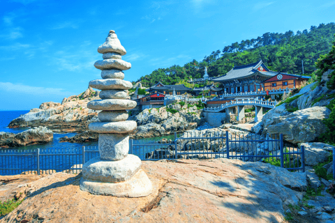 Busan: Topattracties met gids voor één dag