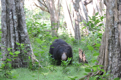 Yala/Mirissa: All Inclusive Full-Day Safari at Yala Park Mirissa/Weligama: All Inclusive Full-Day Safari at Yala Park