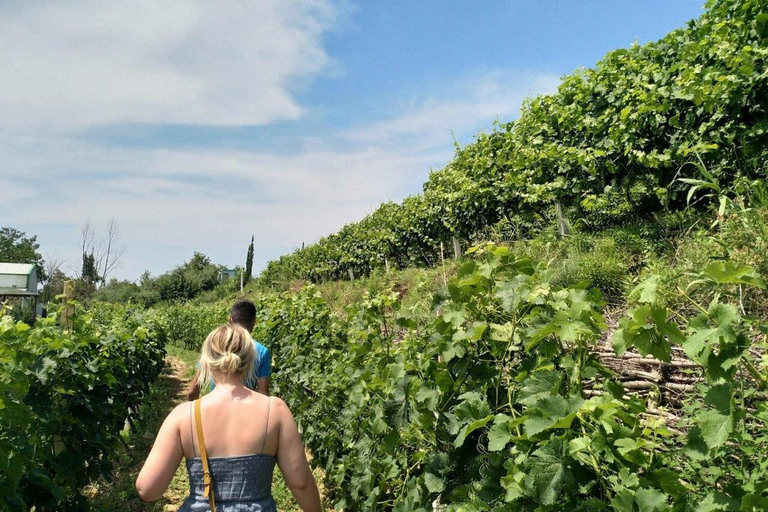 Weinverkostung, optionale Weinbergstour und KajakfahrtenWeinverkostung mit Abholung und Rücktransfer