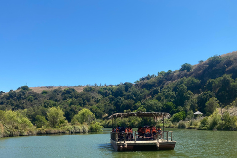 Private Tour Aviary Tricao Park & Pablo Neruda's House