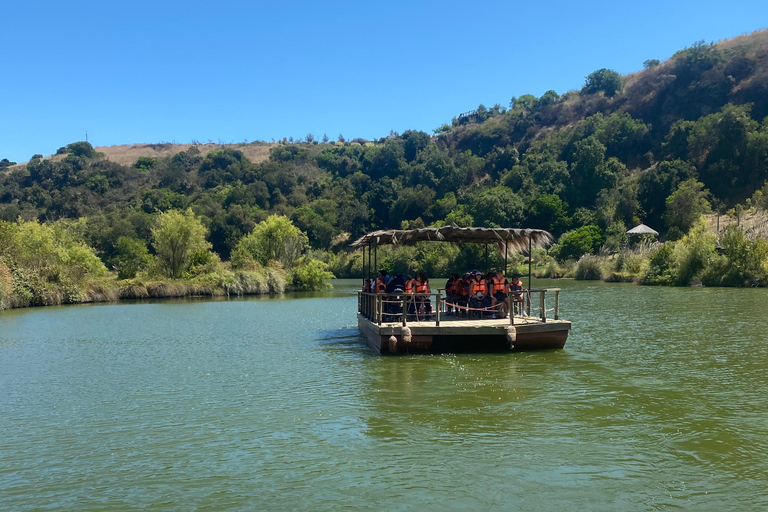 Private Tour Aviary Tricao Park & Pablo Neruda's House