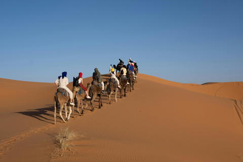 Doha: Sunset Desert Safari, Dune Bashing with dinner at Souq