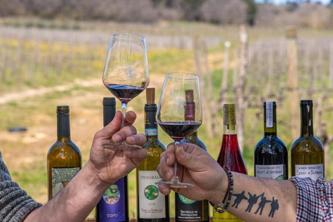 San Gimignano: Chianti & Montalcino Wine Tasting & Lunch