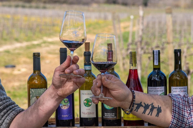 San Gimignano: Chianti & Montalcino Wine Tasting & Lunch