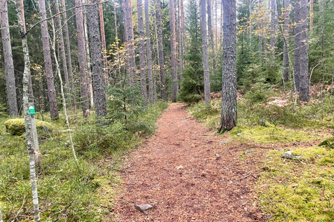 Helsinki: Nuuksio National Park Guided Forest Bathing Tour