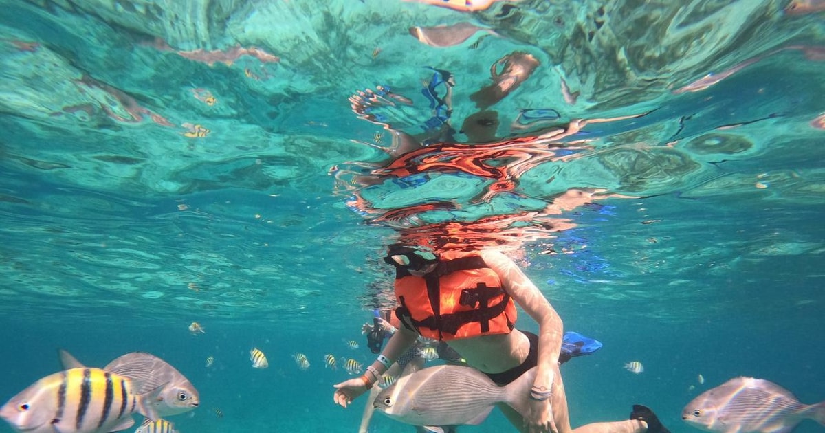 Isla Mujeres Snorkeling Tour at the Underwater Museum GetYourGuide