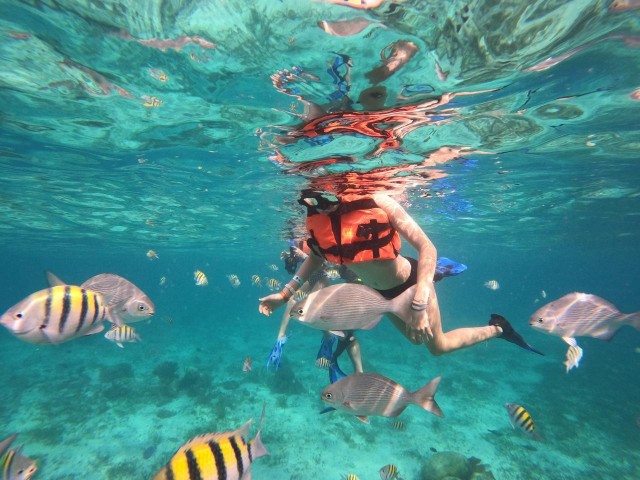 Visit Isla Mujeres Snorkeling Tour at the Underwater Museum in Isla Mujeres