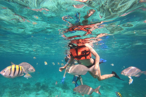 Isla Mujeres: Snorkeling Adventure at the Underwater Museum Isla Mujeres: Snorkeling Tour at the Underwater Museum