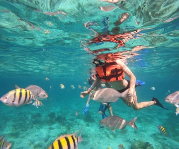 Isla Mujeres: Schnorchelabenteuer im Unterwassermuseum