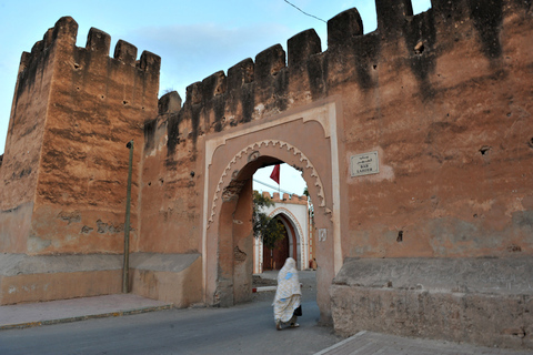 Agadir: Utflykt till Taroudant och Tiout Oasis med lunch