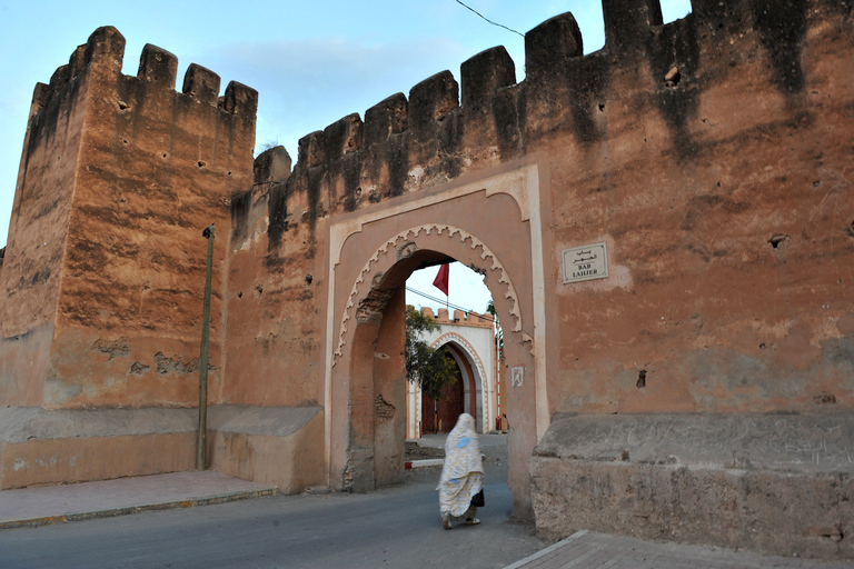 Agadir: Excursion To Taroudant and Tiout Oasis with Lunch