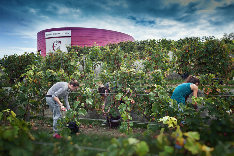 Wein- und Schokoladenerlebnis