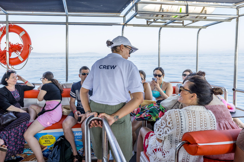 Split: Hvar, Brač en Pakleni Cruise met Lunch en Drankjes