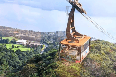 From Tokyo: Mount Fuji Full Day Customizable Private Tour