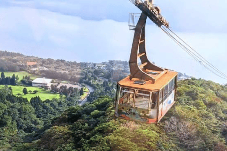 From Tokyo: Mount Fuji Full Day Customizable Private Tour