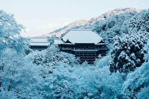 Kyoto, Gion & Nara: Culture & Heritage Full-Day Tour Trip from Osaka 8:40AM