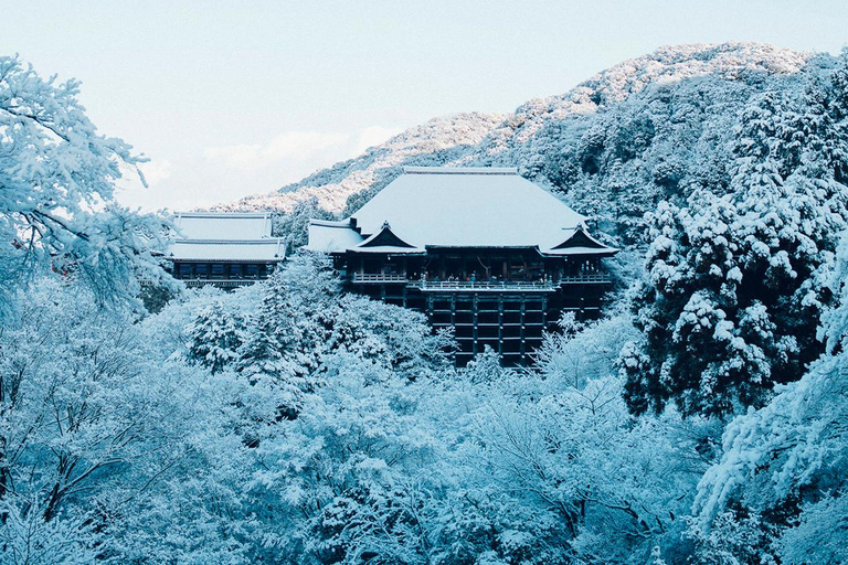 Kyoto, Gion & Nara: Culture & Heritage Full-Day Tour Trip from Osaka 8:40AM