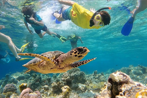 Jeddah: Private Deep Sea Fishing & Bayada Island Reef Swim