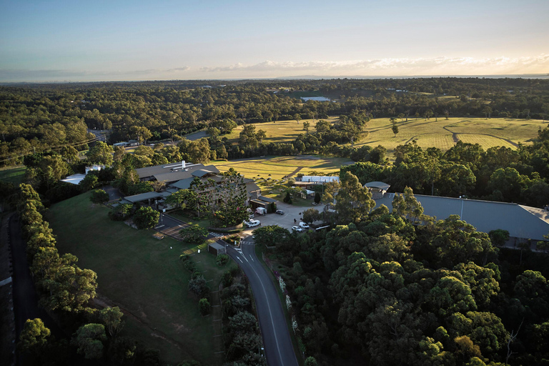 Brisbane: Helicopter Winery Transfer