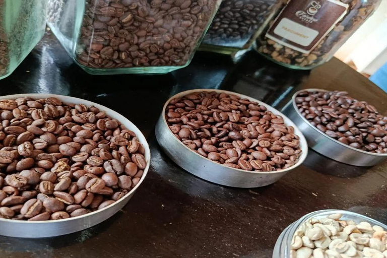 From Nairobi: Tea and Coffee Farm Tour with Tastings