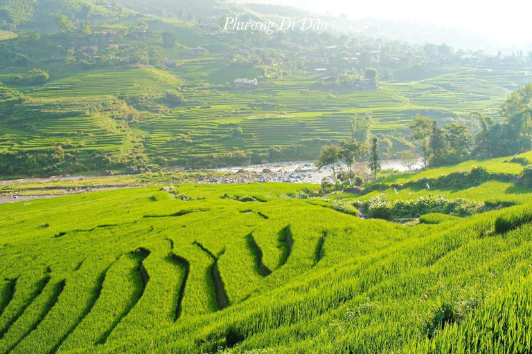 From Hanoi: Visit Sapa 3 Days & See The Terraced Fields Group Tour With A 4-Star Hotel