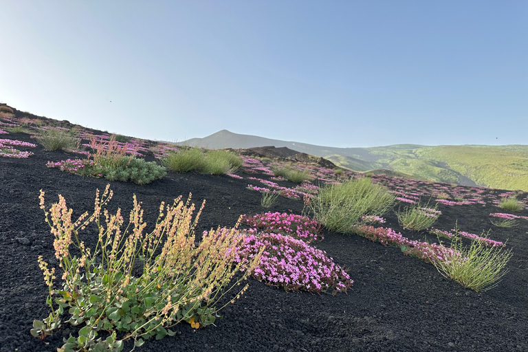 Catania: Etna Tour with licensed Tour Guide pickup & drop-of