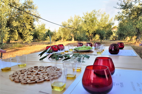 From Nafplion: Argos Castle & Olive Tasting Experience