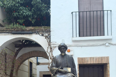 Córdoba Courtyards, Jewish Quarter and Synagogue Sightseeing Tour Cordoba's Courtyards, Jewish Quarter and Synagogue Sightseeing Tour