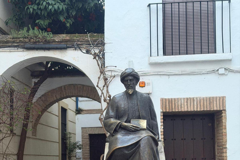 Córdoba Courtyards, Jewish Quarter and Synagogue Sightseeing Tour Cordoba's Courtyards, Jewish Quarter and Synagogue Sightseeing Tour