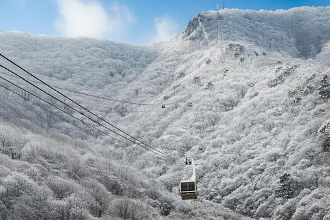 Busan: Discovery Tour With Snow &amp; UNESCO Spot