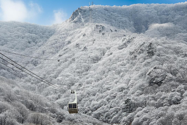 Busan: Discovery Tour With Snow &amp; UNESCO Spot