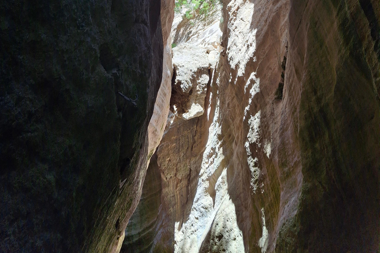 “Paphos Private Tour: Akamas, Avakas, Turtle Bay & Winery”