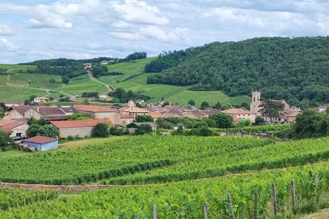 Weintour in Pouilly Fuissé