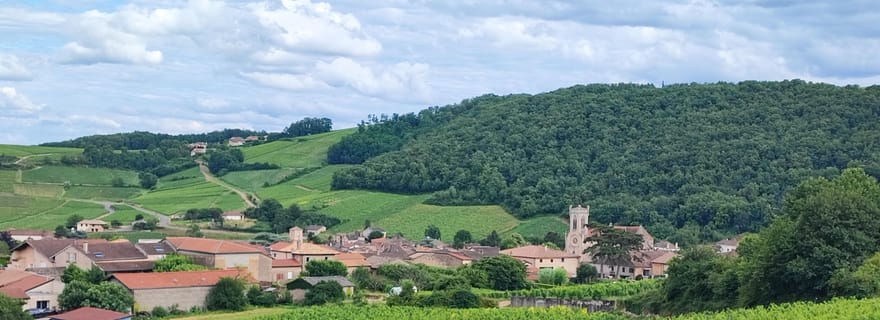 Circuit viticole au Pouilly Fuissé