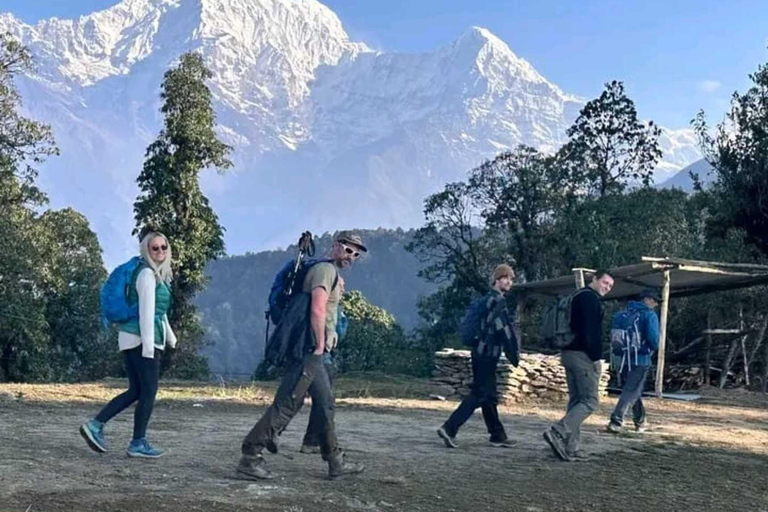 Nepal: Small Group 4-day Mardi Himal Trekking Pokhara: 4-days Mardi Himal Guided Trek