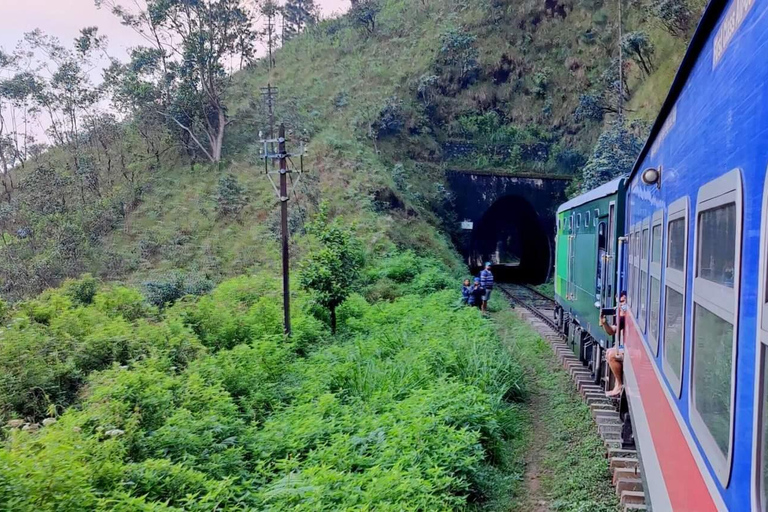 Kandy: Nanu Oya Scenic First Class Railway Experience