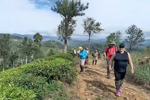 Colombo: 5-Day Hill Country Trekking Itinerary to Ella