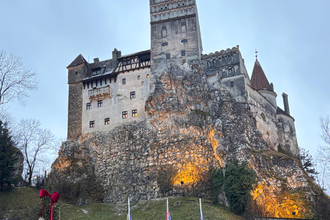 Brașov: Bran Castle, Bear Sanctuary, & Râșnov Citadel Tour