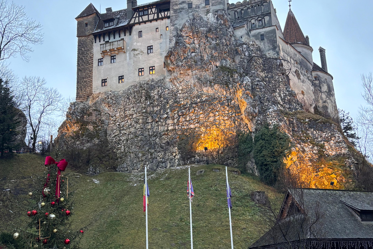 Brașov: Bran Castle, Bear Sanctuary, & Râșnov Citadel Tour
