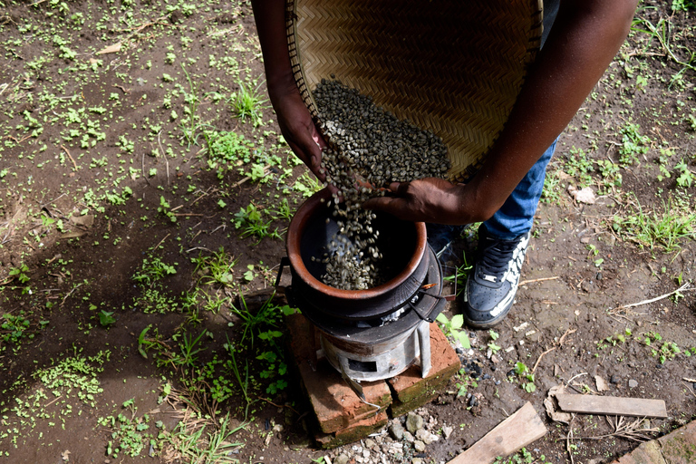 Arusha: Coffee Tour &/Or Pottery Lesson Coffee Tour