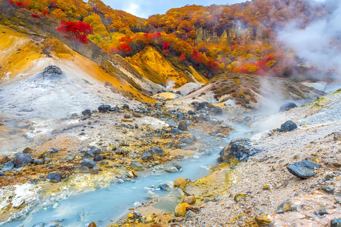 From Sapporo: Toya Lake and Noboribetsu Hell Valley Tour Depart from Sapporo Tokyu REI Hotel