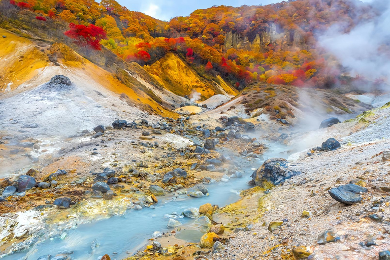 From Sapporo: Toya Lake and Noboribetsu Hell Valley Tour Depart from Sapporo Tokyu REI Hotel