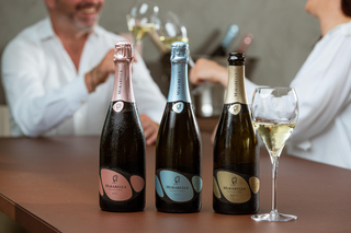 Franciacorta: Vineyard Visit, Wine Cellar and Edea Tasting Tour